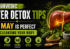 Ayurvedic Liver Detox Tips: Why May Is Perfect for Cleansing Your Body Ayurvedic Liver Detox Tips Why May Is Perfect for Cleansing Your Body